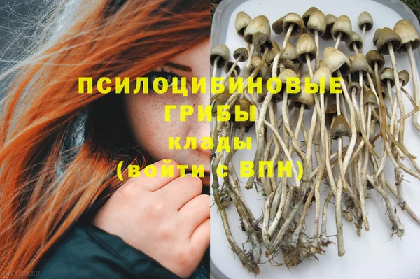 эйфоретик Бугульма
