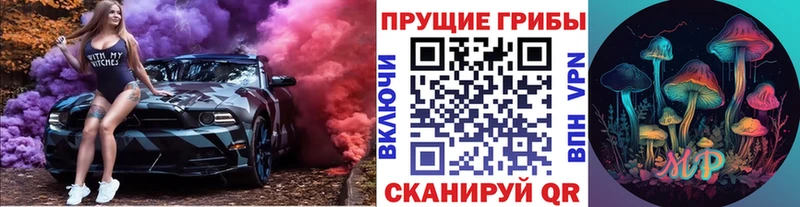OMG сайт  площадка телеграм  Галлюциногенные грибы GOLDEN TEACHER  Дигора 